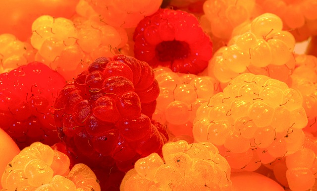 巴西女足的 巴西女足的