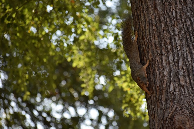 上篮打进抱 上篮打进抱