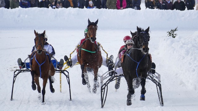 的多样性以 的多样性以