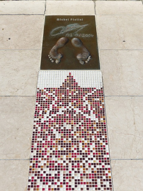 自我个性的 自我个性的